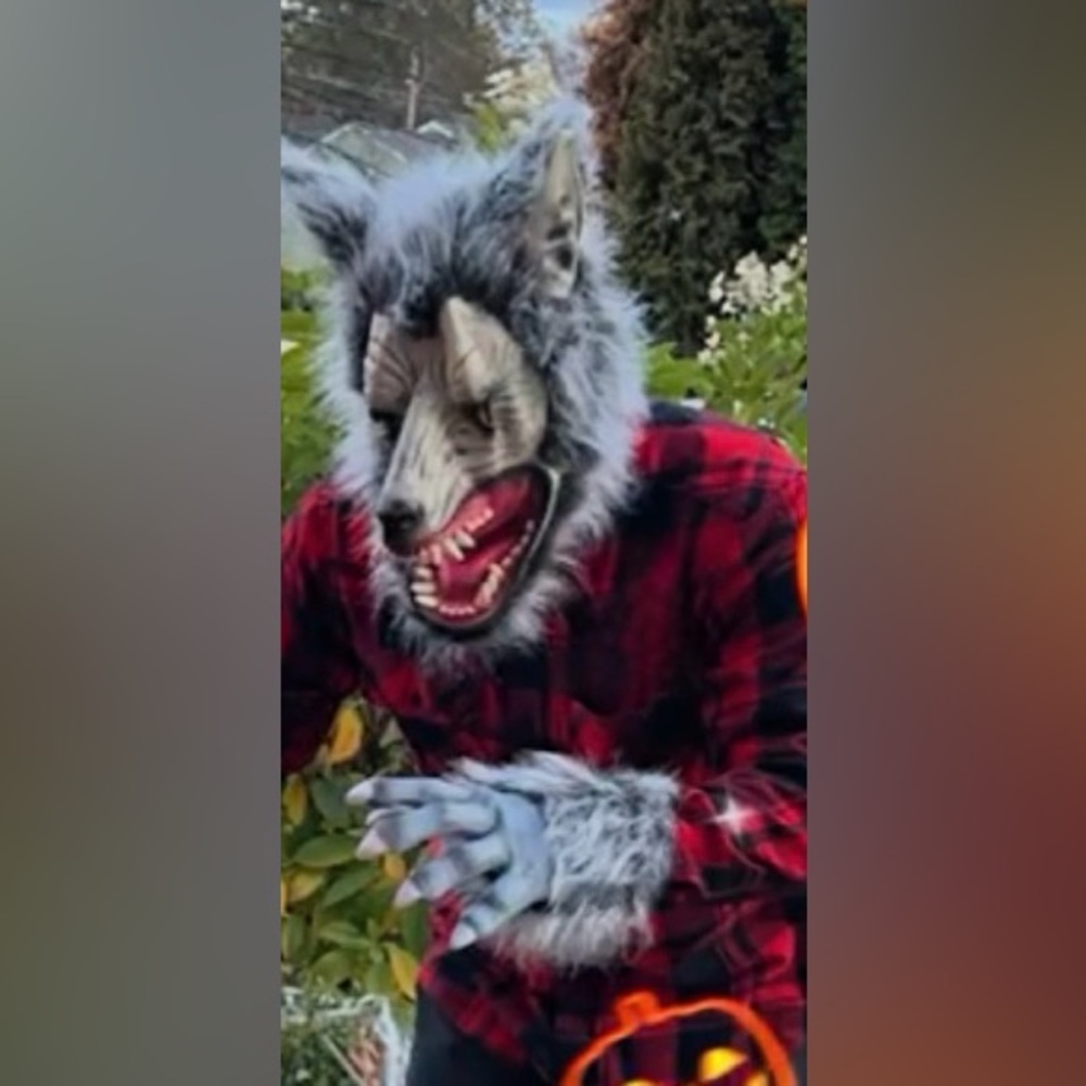 Big Bad Wolf adult mask and gloves